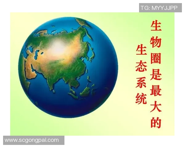 生物多样性丧失对生态系统和人类未来的深远影响与应对策略